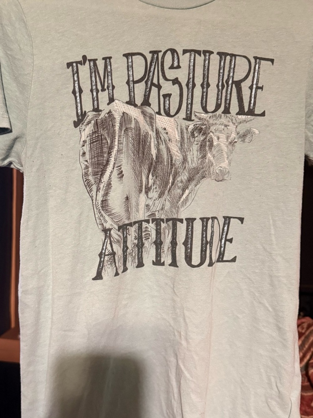 Mint Green Graphic Tee "I'm Pasture Attitude"